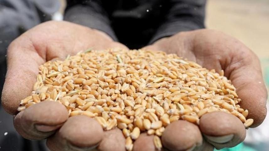 India resumes wheat export