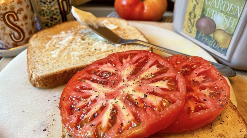 5 sandwiches to relish in hot weather