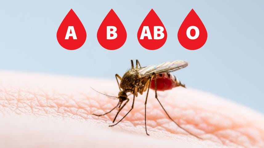 mosquitoes prefer blood type