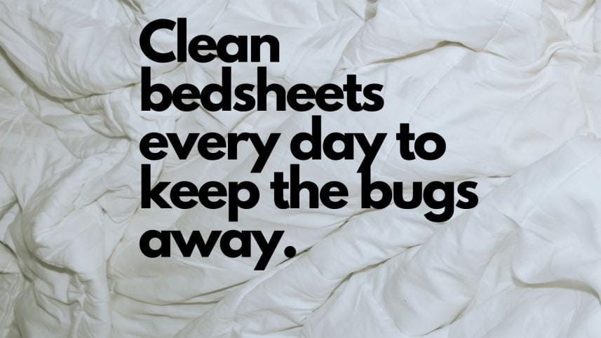 clean_bedsheets_everyday_to_keep_the_bugs_away_.jpg