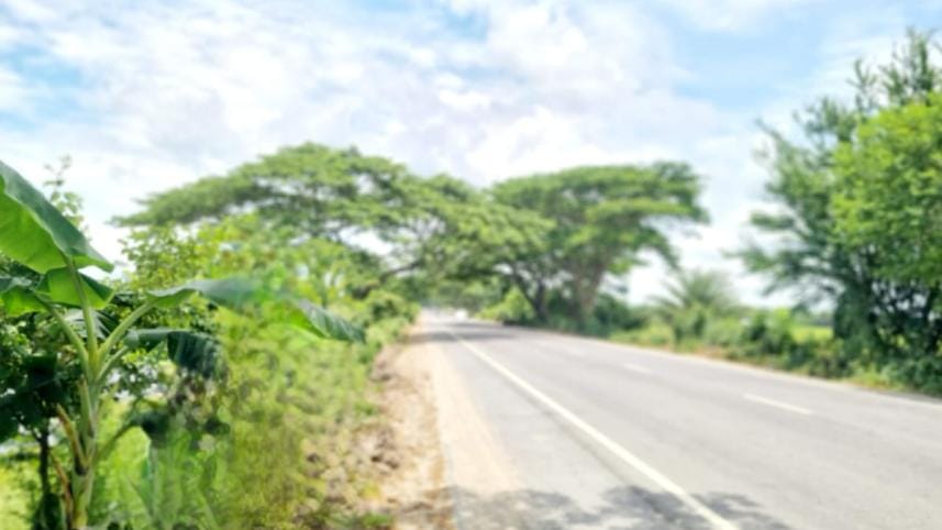 Dhaka-Khulna-Bhanga section 