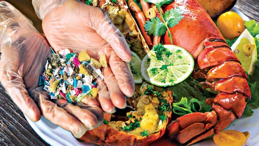 microplastic-seafood.jpg