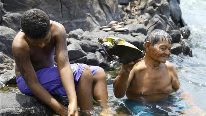 River_Xingu_amazon_rainforest_brazil