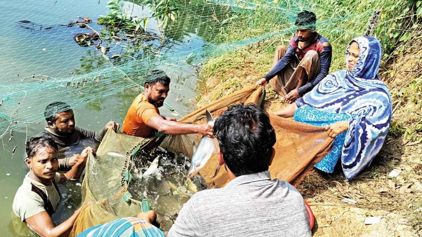 International Women's Day 2022