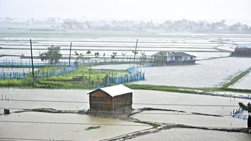 Cyclone Sitrang damages Aman crops