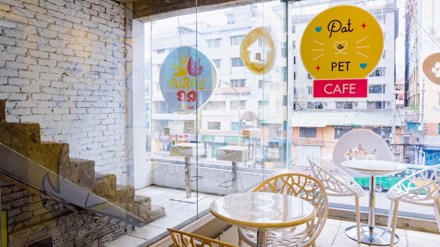 Bring your pets too at the Pat a Pet Cafe 