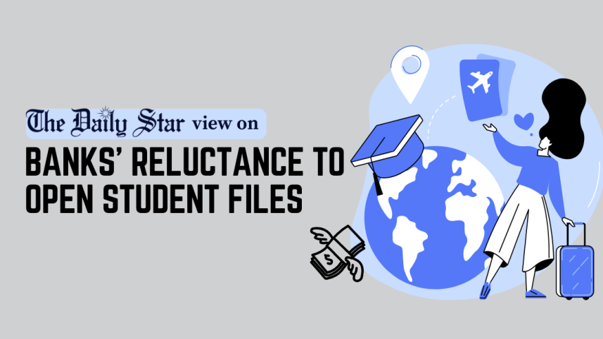 dollar crisis student file.png