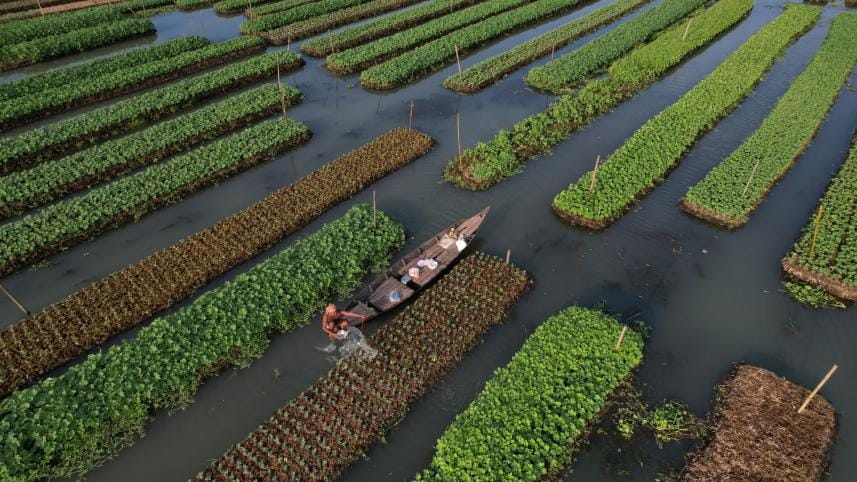Floating agriculture.jpg