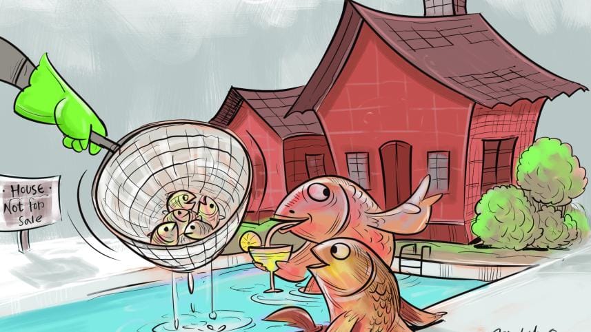 Big fish and small fry in Canada - Biplob Chakroborty/STAR