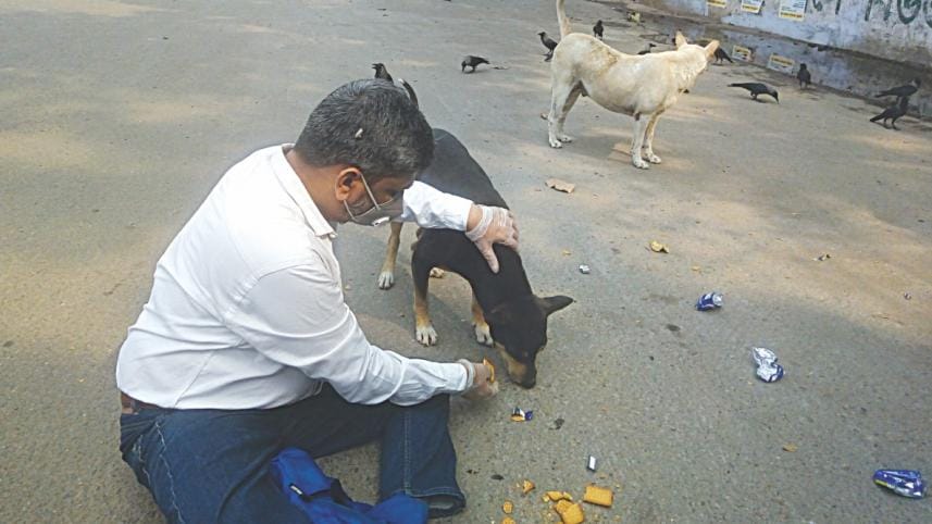 Feeding stray dogs