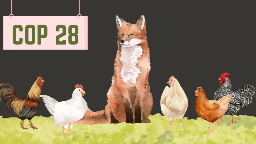 COP 28