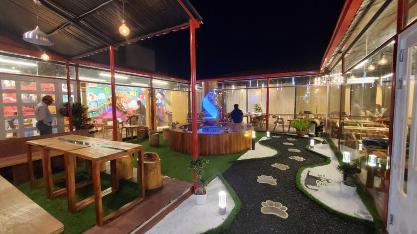 Capawcino Cat Café: Coffee and Paw-sitivity! 