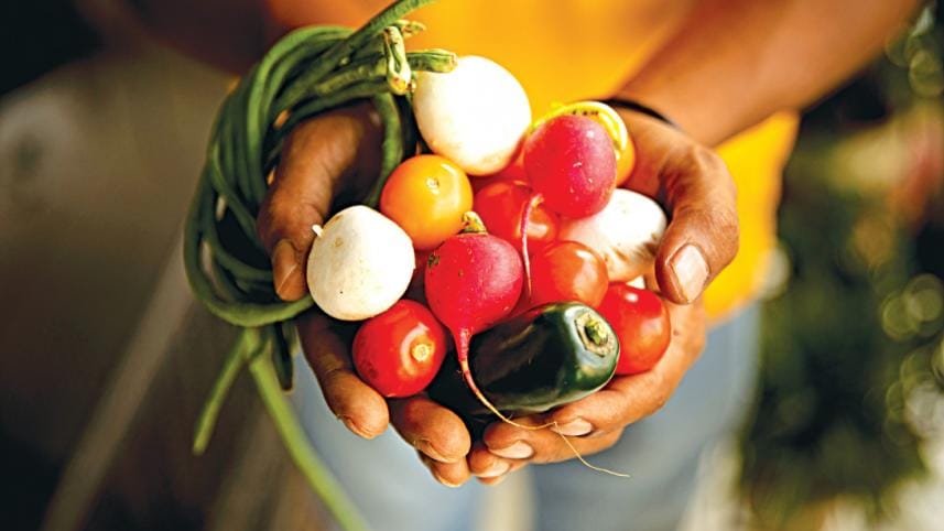 Food distribution system.jpg