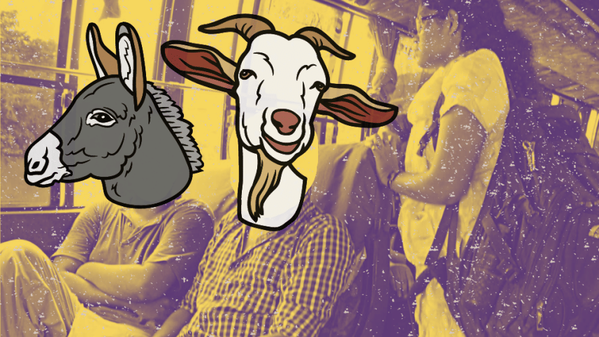 Women on public buses.png