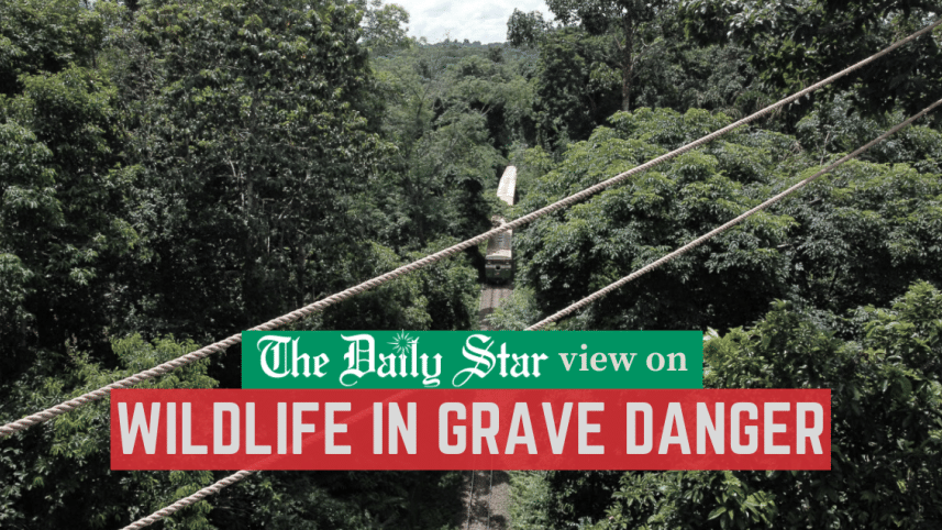 wildlife in grave danger in bangladesh