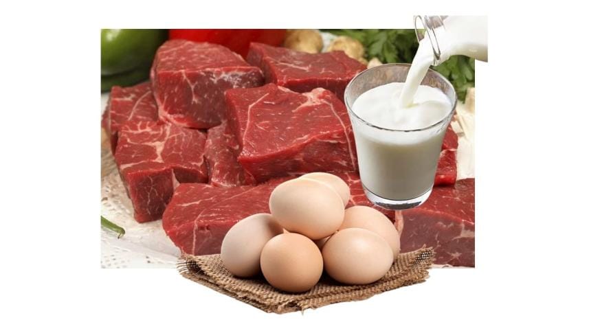 egg_milk_meat.jpg