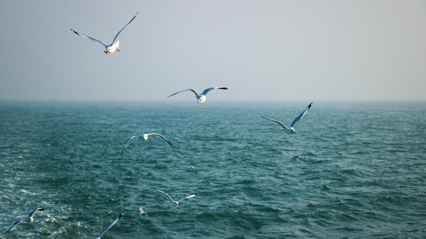 Top 5 ongoing budget tours in Bangladesh under Tk 15,000  