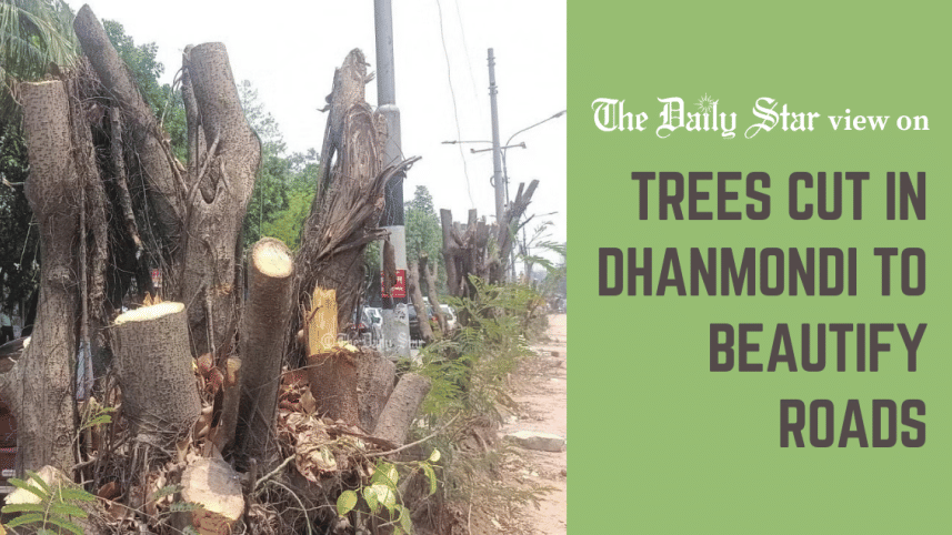 trees cut in dhanmondi to beautify roads