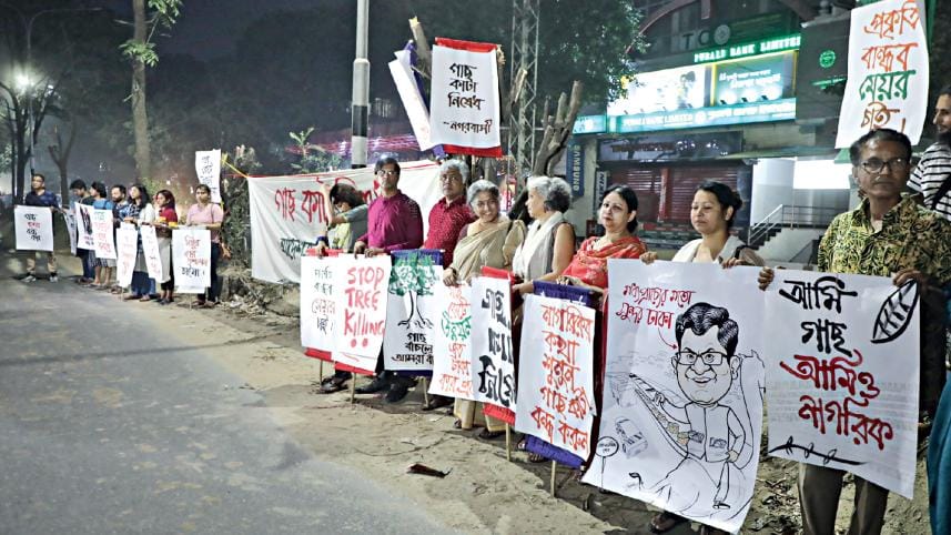Saat Masjid Road Tree Felling 