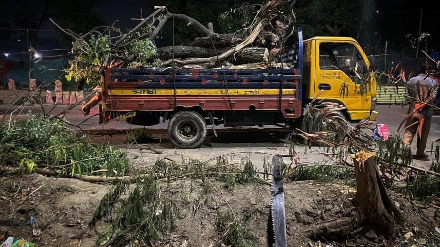 Trees felled in Satmasjid Road 