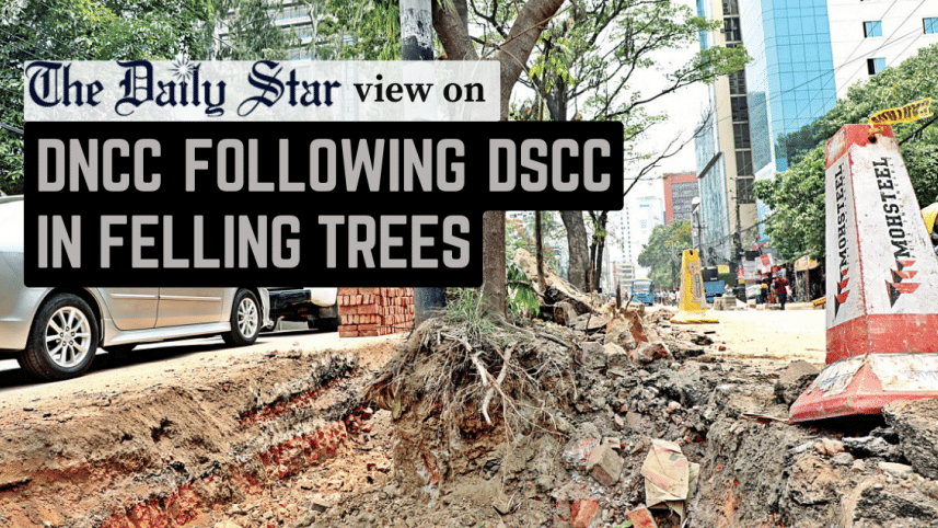 dncc follwoing dscc in felling trees