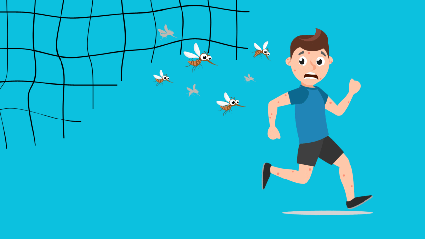 How to prevent dengue fever