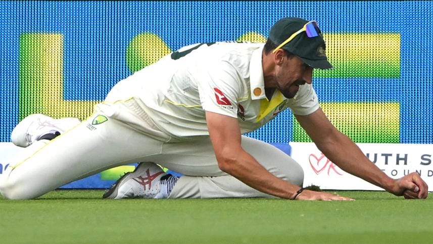 starc-catch.jpg