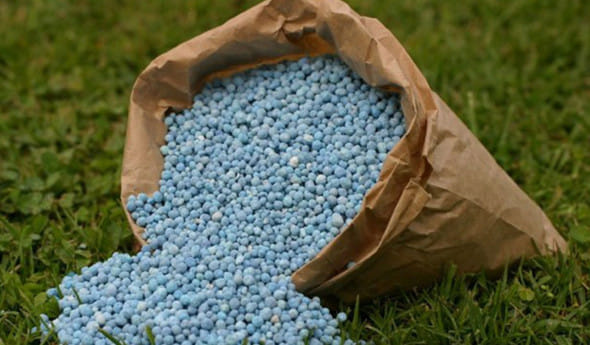fertiliser.jpg