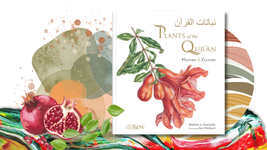 1._plants_of_the_quran.png
