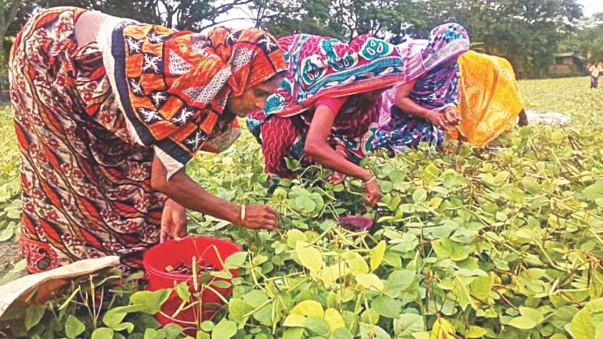 Women’s land rights.jpg