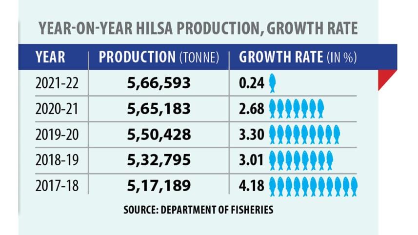 hilsha-chart.jpg