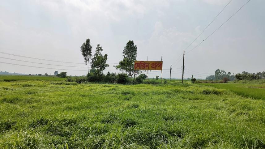 Arial Beel: HC orders immediate stop to land grabbing, construction