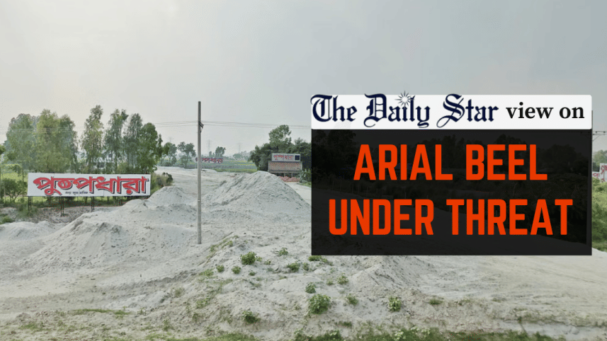 arial beel under threat