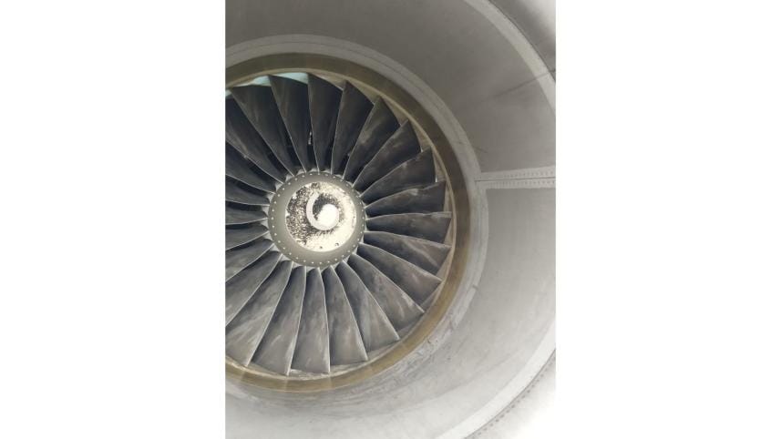 bird strike dhaka airport