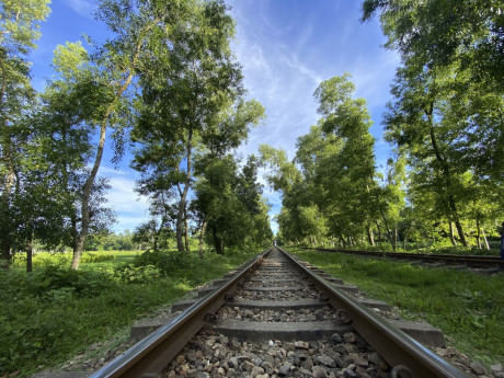 mirasharai Reasons why you should travel within Bangladesh