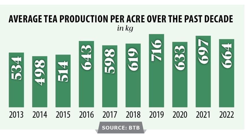 Tea gardens seeing fresh investment