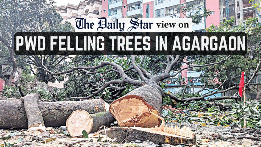 pwd felling trees in agargaon