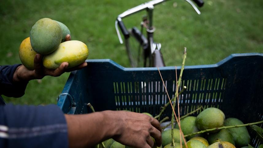 Taste the best of Bangladesh: Must-try dishes and destinations 