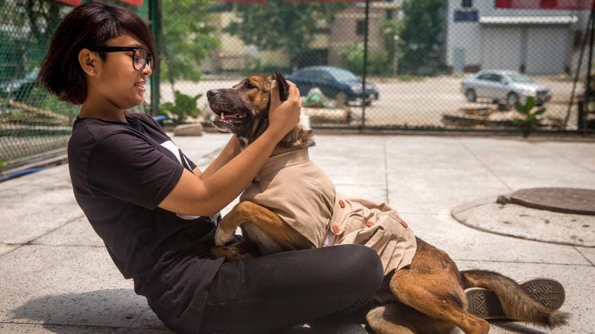 Problems of owning a dog in Dhaka