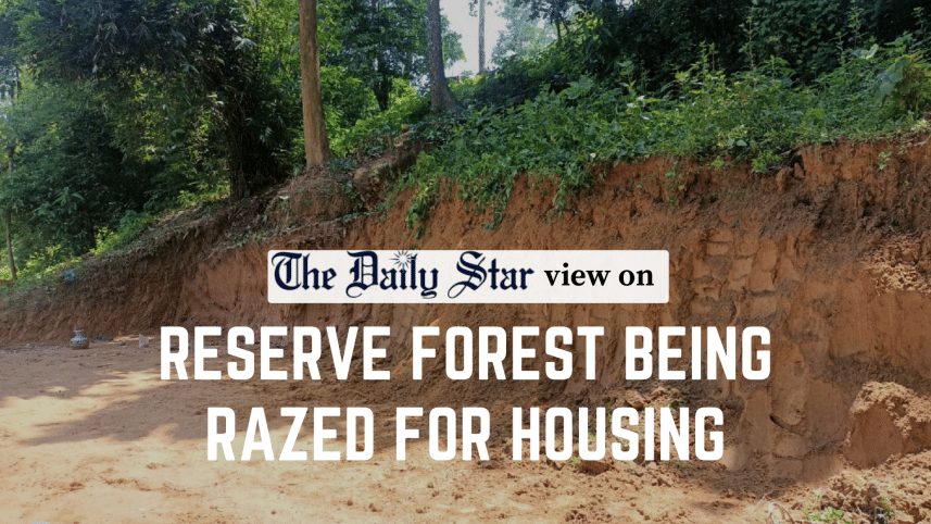 reserve forest being razed for housing in chattogram