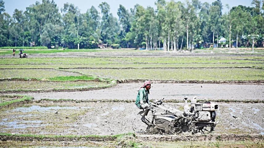 How farmers are adapting to climate change