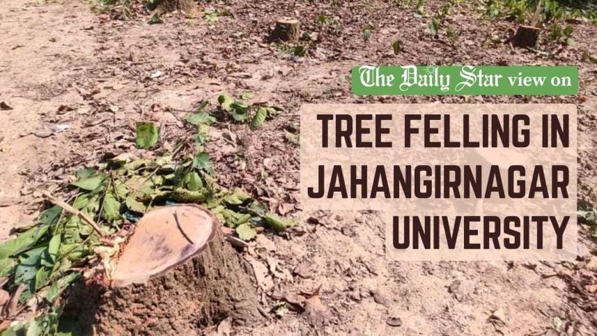 Tree felling in Jahangirnagar University 
