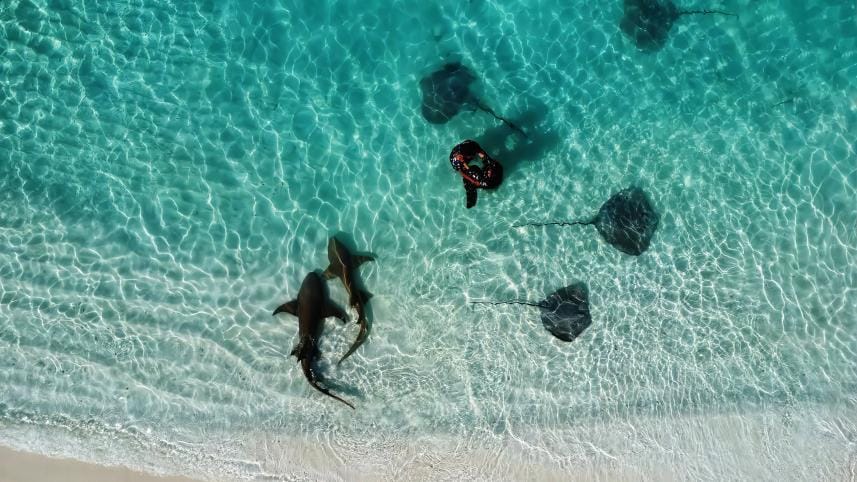 Prepare for a winter adventure! 5 countries to travel for under Tk 1 Lac