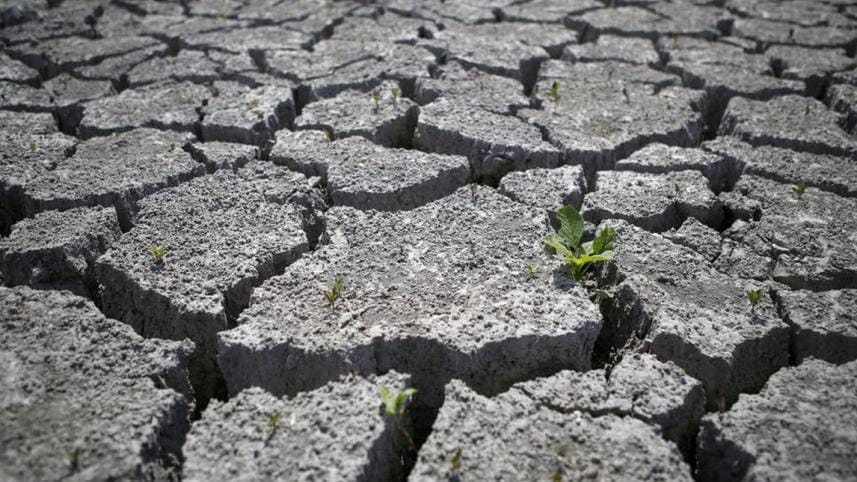 desertification-and-drought-day.jpg