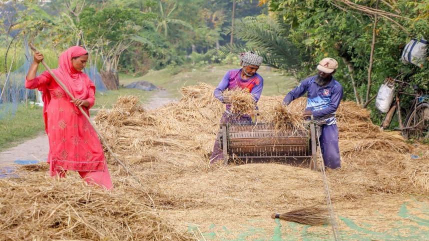 Paddy purchase by the Bangladesh Government is low 
