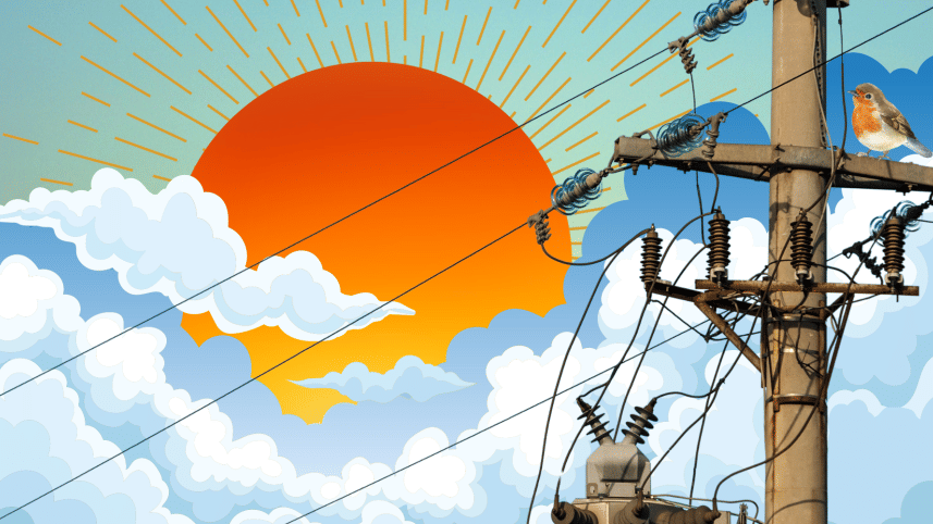 A utility pole and the sun rising behind it.  