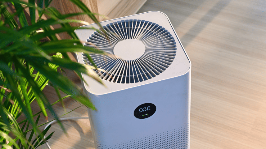 Air purifiers winter