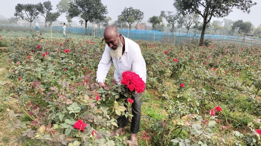Rose grower.jpg