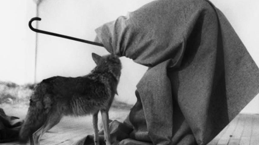  'I Like America and America Likes Me'