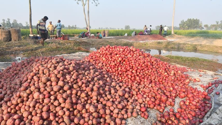 potato price in bangladesh